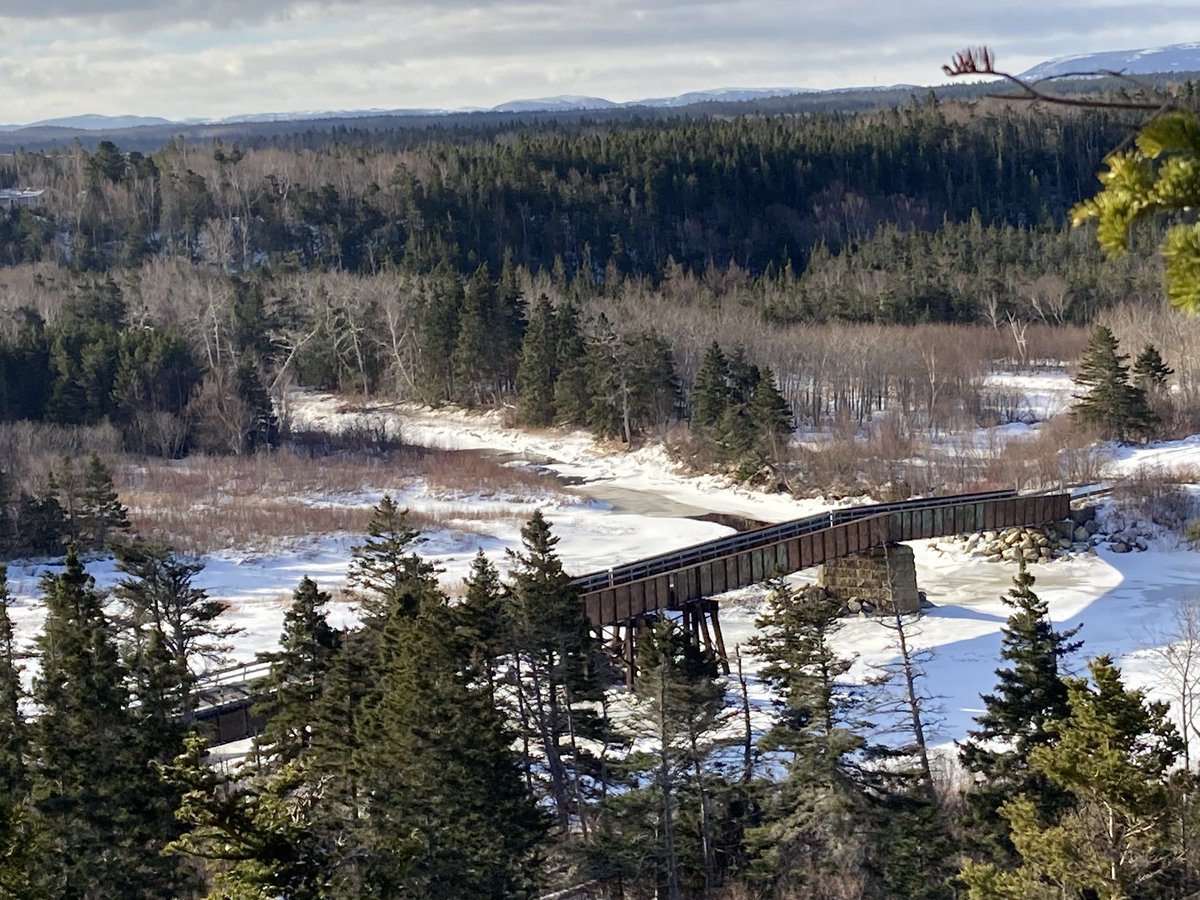 Jim 🇨🇦 tweet media