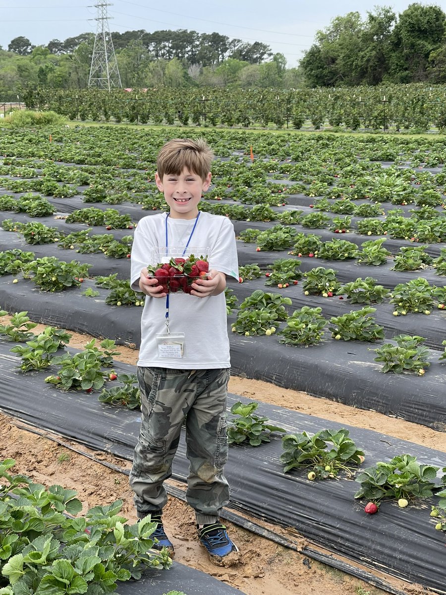 Mrs.Ebo’s Class tweet media