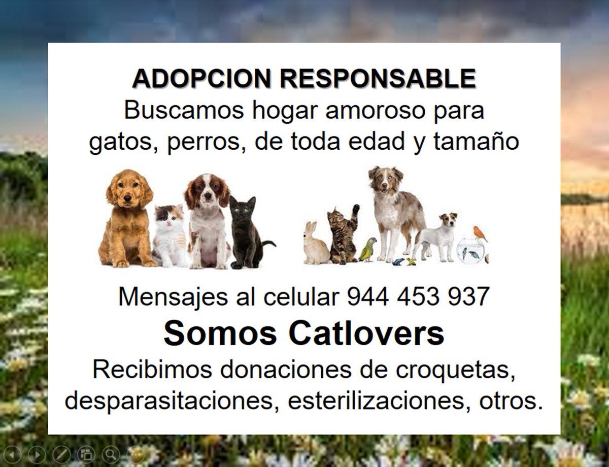 QuintoPoder6's tweet photo. Ayúdanos a ayudar ! https://t.co/GvtNh8XC16