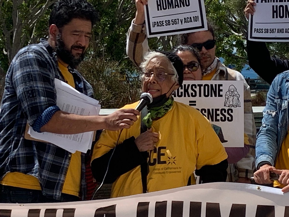 🐝 ACCE 🐝 tweet media