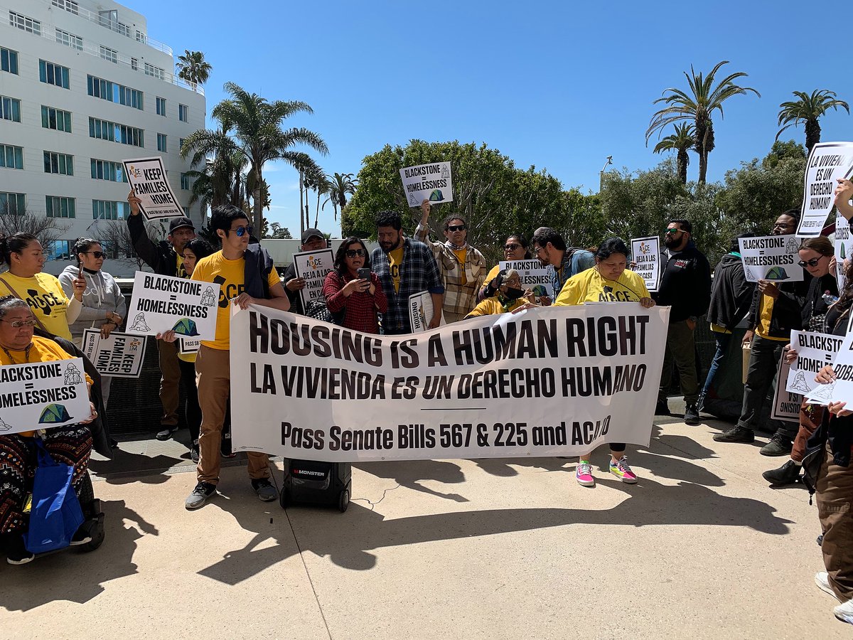 🐝 ACCE 🐝 tweet media