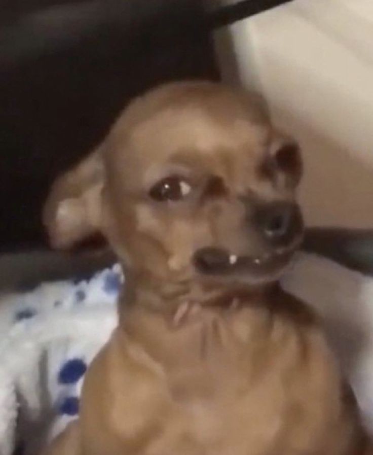 when they want #booktwt moots but never follow back