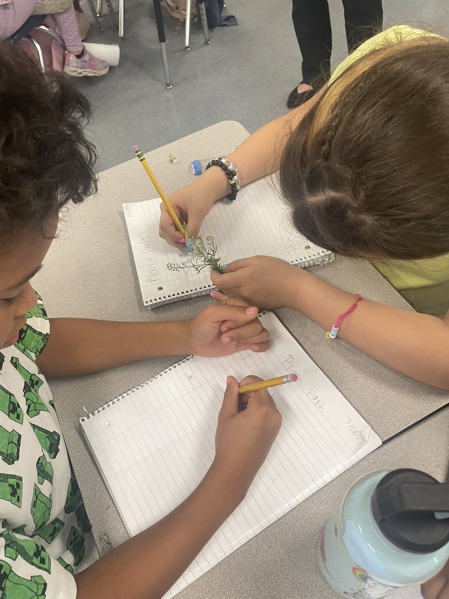 Melissa Triebwasser tweet media