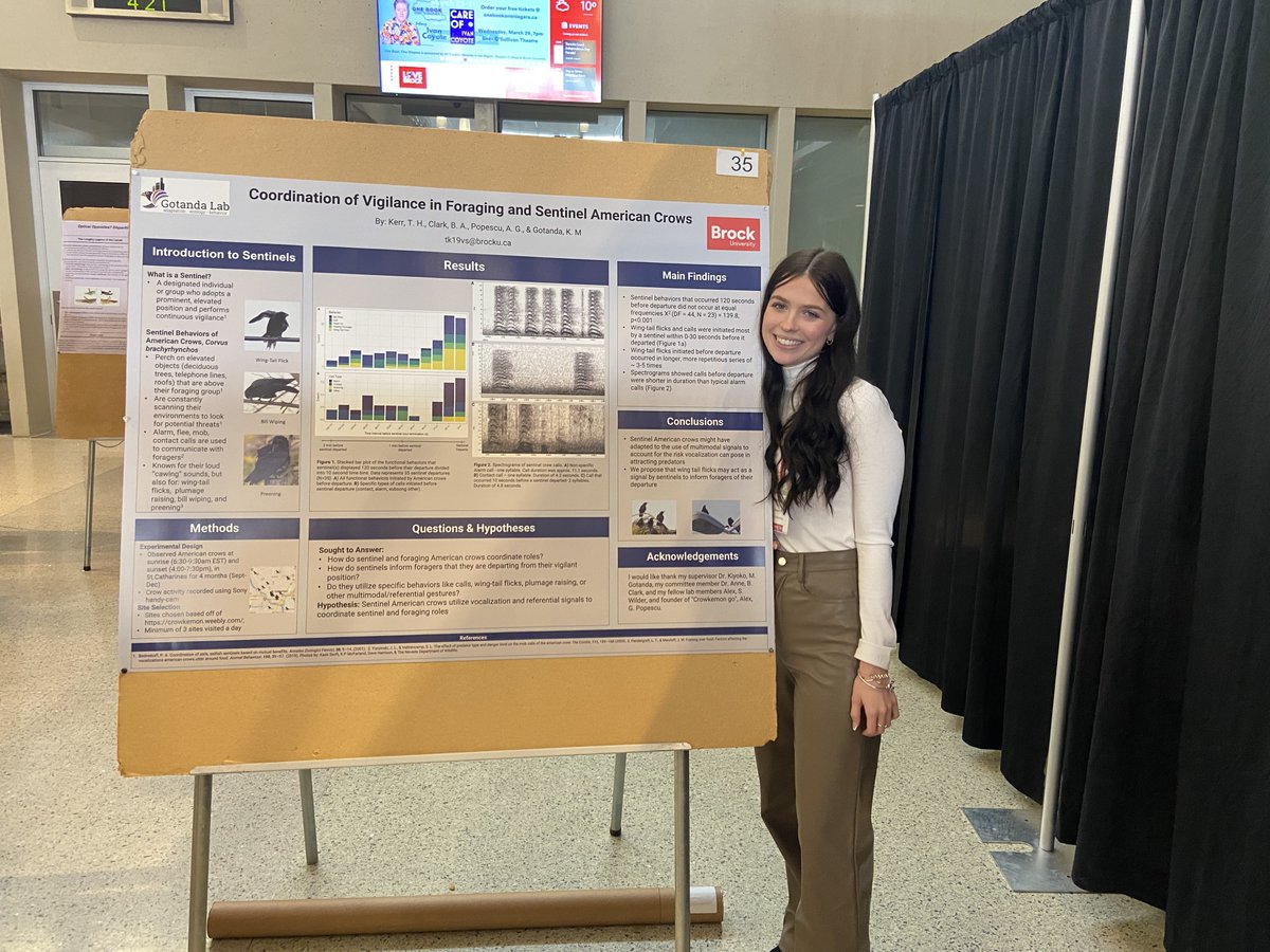 photopidge's tweet photo. Bit late, but had a fantastic time at #OntarioBiologyDay that was held @BrockUniversity. Super proud #NewPI where three undergrads from the #GotandaLab presented their awesome research! #WomeninSTEM @krisvlahiotis https://t.co/J8AbZVFdg7