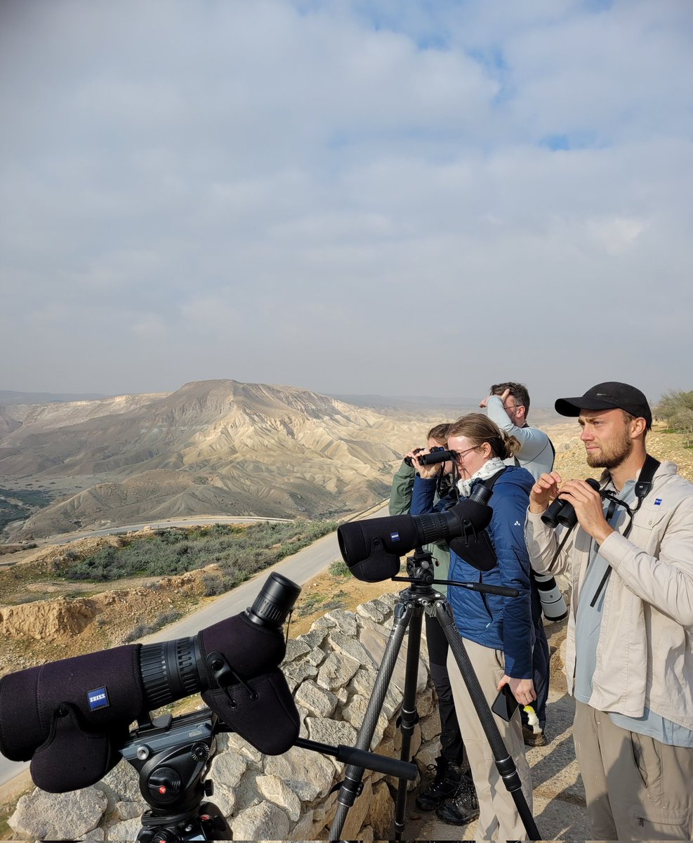 _TCartz's tweet photo. Still tired from driving all day but Team Harpies had a cracking day taking part in #COTF23 y'day. 
149 species seen was a respectful total, a Pelican amongst a White Stork flock in the desert was an unexpected highlight.

#ZEISSBirding 🔭📱 https://t.co/hPW78Oedlr