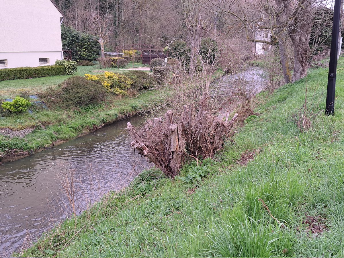 ch_hasenfratz's tweet photo. Suivi de pré-collecte ce matin à #AulnaySurMauldre... but du jeu : vérifier la présentation des déchets verts avant le passage de la benne...
#Paysage #landscape 
Et au milieu coule la #Mauldre 
#AmbassadeurDeTri #lovemyjob https://t.co/iBnbPXUR1X