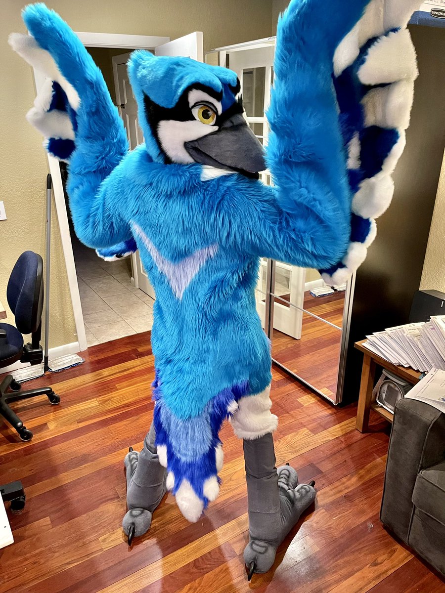 oƃᴉʇɹǝʌNI (@vertigojay) on Twitter photo Showing off my best side? Shaking my tailfeathers? Both?? You decide!
📸: <a href="/WildAcai/">Wiggly Ear Power!</a>
<a href="/MadeFurYou/">Made Fur You</a> Showing off my best side? Shaking my tailfeathers? Both?? You decide!
📸: <a href="/WildAcai/">Wiggly Ear Power!</a>
<a href="/MadeFurYou/">Made Fur You</a>