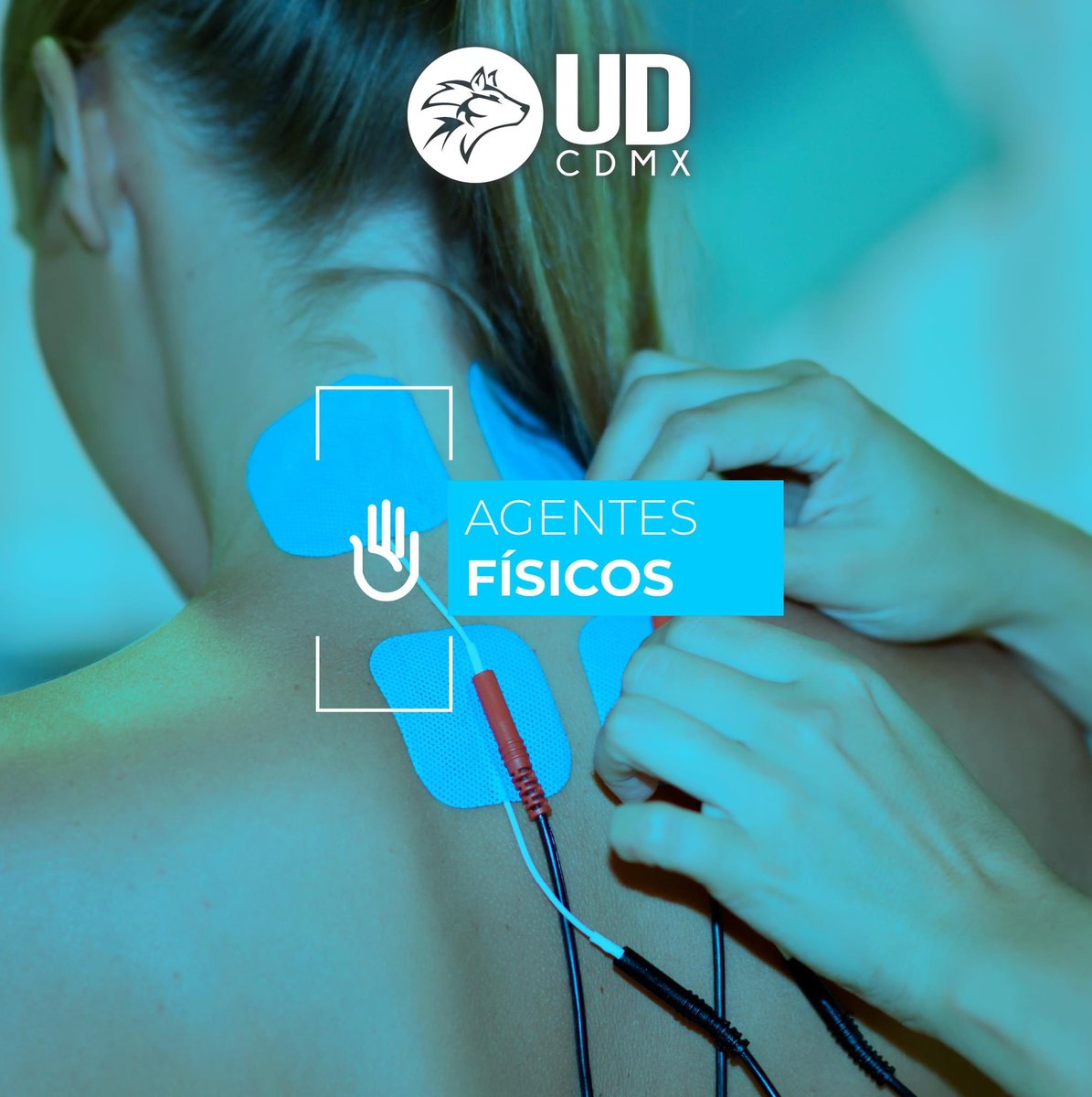 udcdmx's tweet photo. Lic. Fisioterapia

Los agentes físicos son todos los elementos físicos con que cuenta el fisioterapeuta que se emplean para intervenir en el cuerpo con fines curativos.

📱Whatsapp: https://t.co/jgkqNUjt6O

#siempregrandes #siemprelobos #UDcampusCDMX #licenciatura #fisioterapia https://t.co/ea09PpuO0y