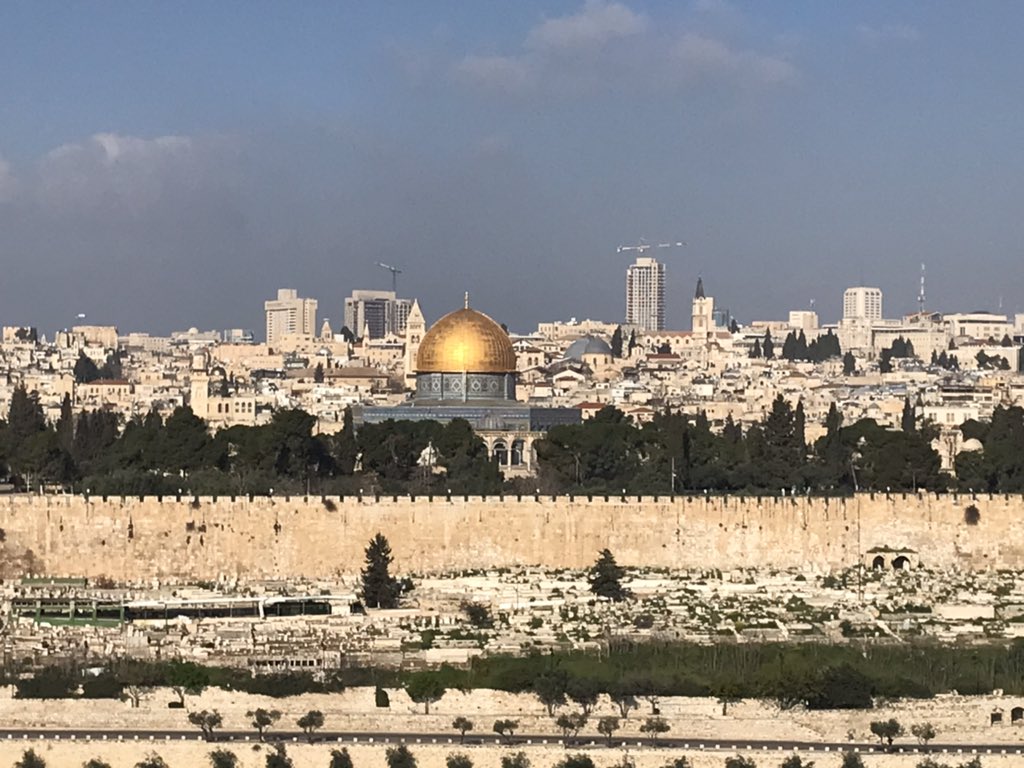 Richard Turk tweet media