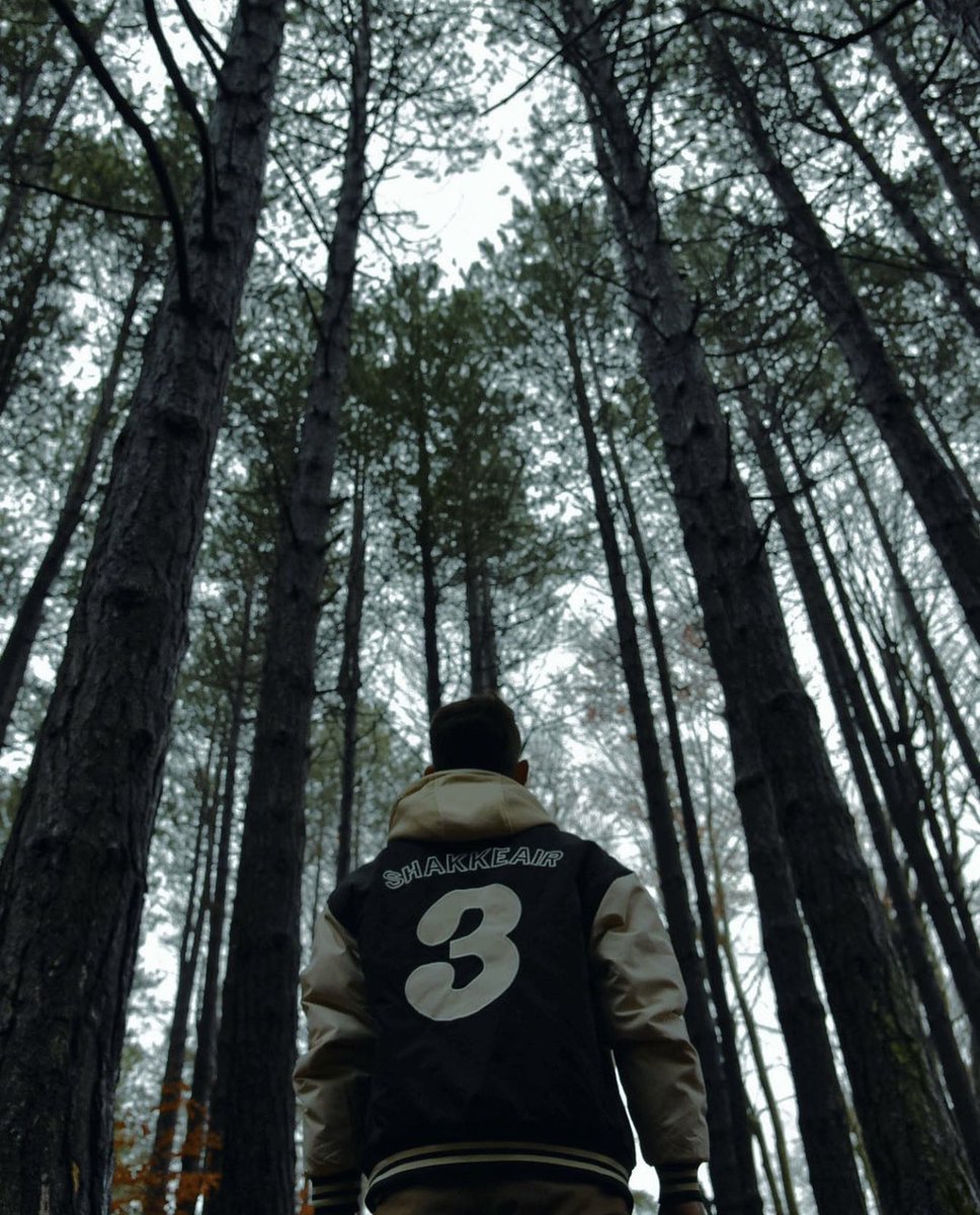RazmaResort's tweet photo. Step into the wild and let your soul roam free 🌿🌲🍂 #NatureEscape #ForestRetreat 
Photo Credit: @nee_malesi 📸📸
#razem #shkoder #albania https://t.co/hD5YfEymS3