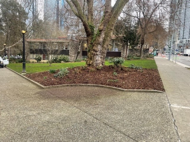 SeattleParks's tweet photo. We now interrupt your scrolling to show you some pictures of beautifully mulched garden beds! 🌱

#ParkProud
#SeattleMulchShines
#SeattleShinesInSpring 
#Spring 
#SignsofSpring 
#SpringIsHere https://t.co/kGRRSadLwq