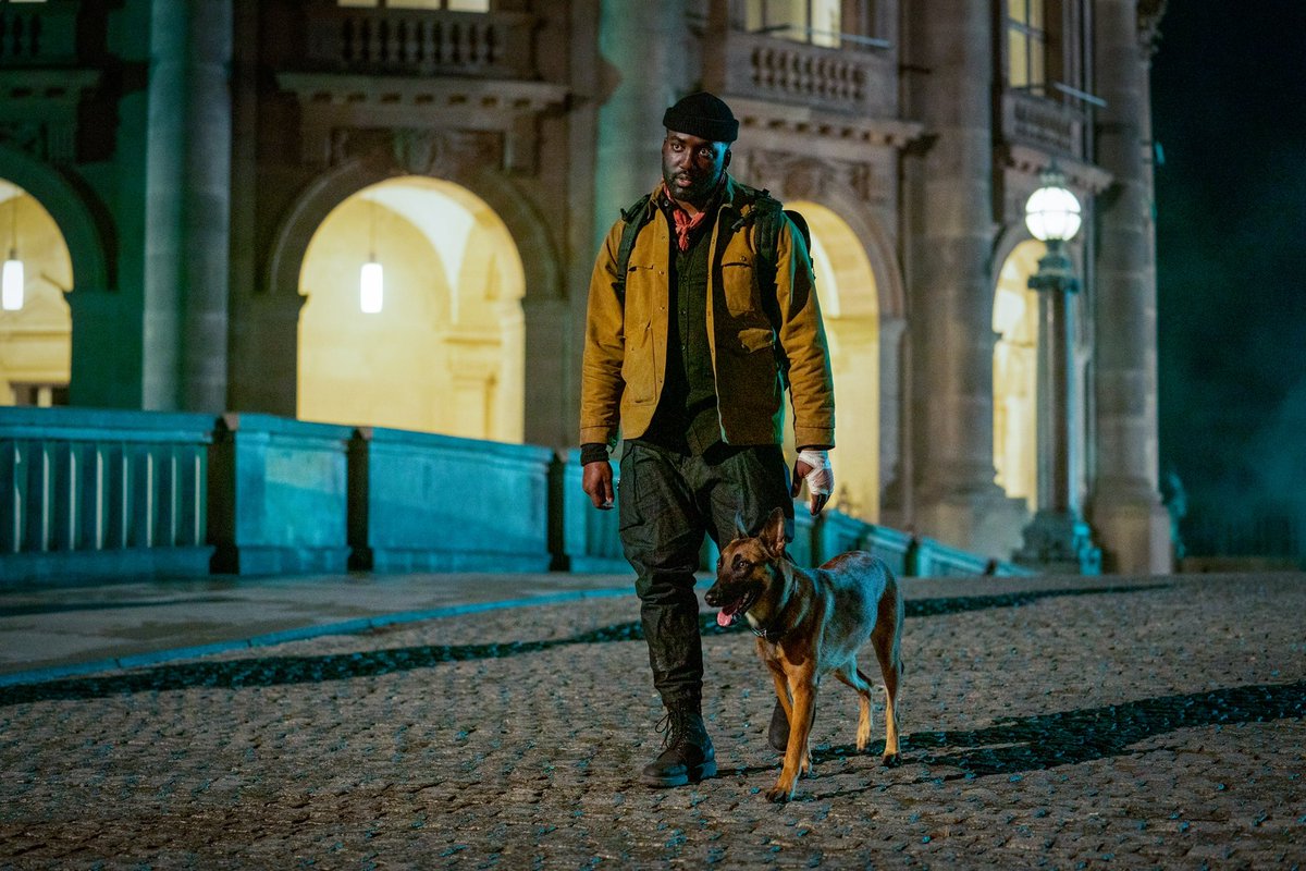 ShamierAnderson's tweet image. A man and his trusted puppy 🤎 @JohnWickMovie