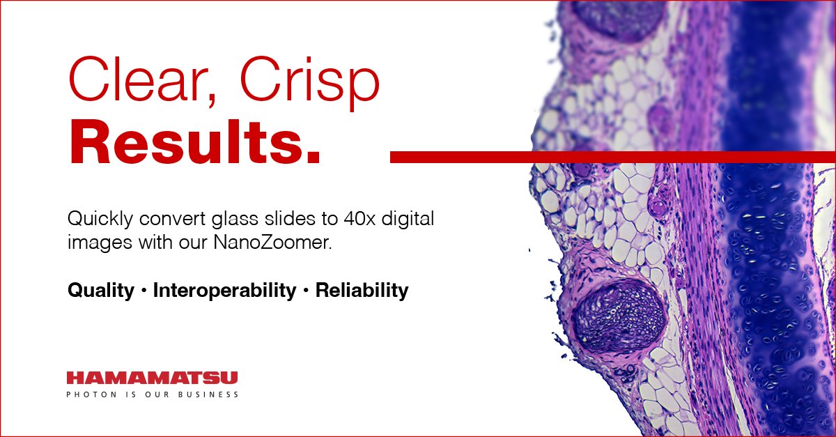 HamamatsuPhoton's tweet photo. Transform your workflow with our #NanoZoomer whole slide scanners. Convert glass slides into high-resolution images quickly and easily, enabling faster remote sharing and more detailed viewing. https://t.co/Wc78MgYri7 
#digitalpathology #digitalslidescanner https://t.co/EUH8PZj1Gm