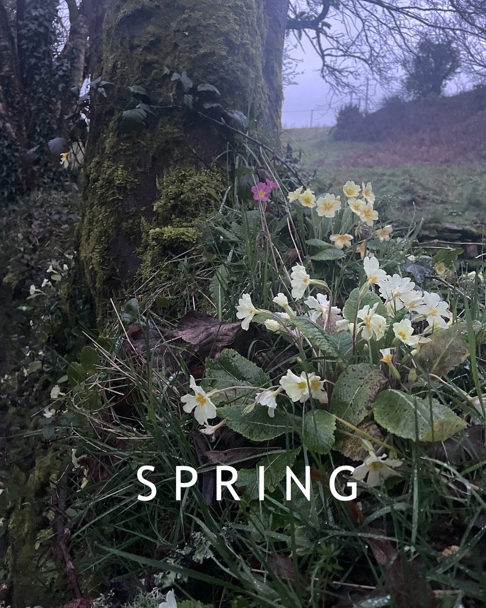 _clairenglish's tweet photo. Calling emerging arts/museum people in Cornwall - come along to #FutureMuseumNetwork - @franvsingleton from @BodminKeep will be talking about ethics, redisplays &amp; travelling exhibitions. This Thurs 30th, on zoom, 11 - 12.30 pls register 🤓👉 https://t.co/lvBospiEaJ https://t.co/FaElwkKQKT