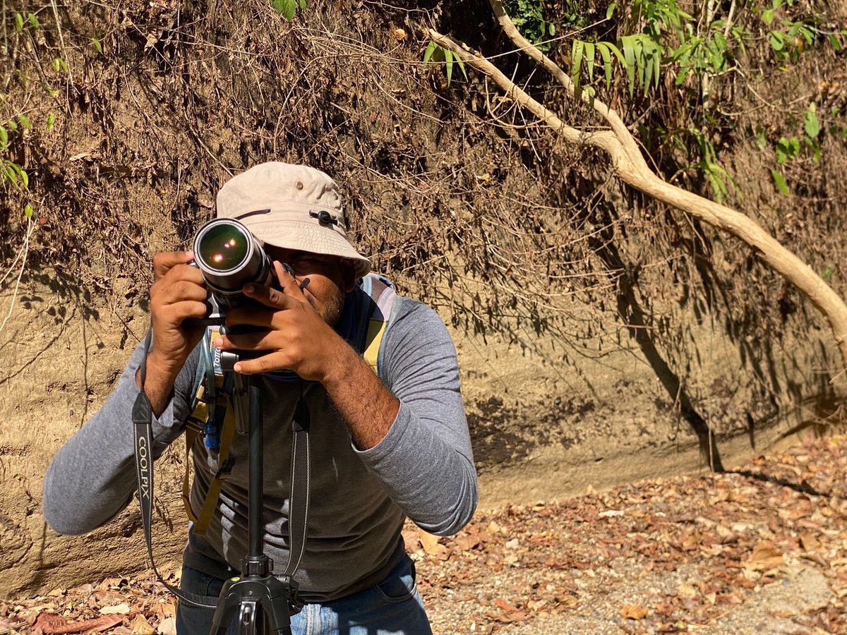 miralcentro's tweet photo. Gabriel Utria y Jossie Lázaro, expertos y amantes de las aves, nos llenaron de conocimientos y experiencias inolvidables en nuestro taller de avistamiento y fotografía de aves ¡Una mirada a lo que normalmente no vemos👀! #DescubreUsiacurí📸 https://t.co/WGW7JYzw9W