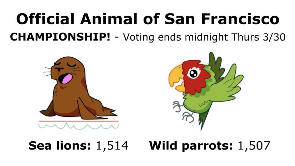 Looks like we have a barn burner on our hands! #OfficialAnimalSF #TotalSF #teamparrot #thewildparrotsoftelegraphhill sfchronicle.com/projects/2023/…