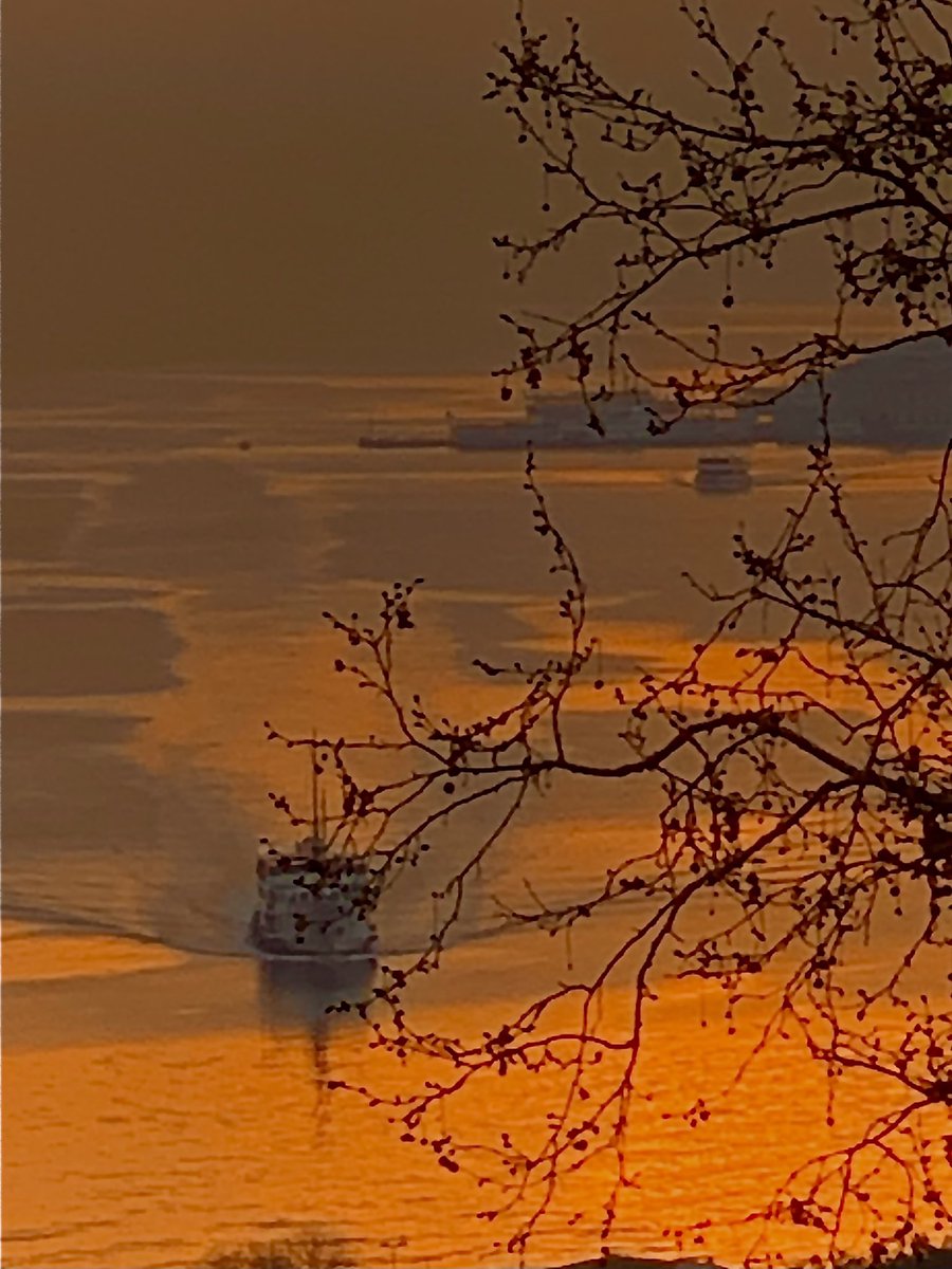 Hiç bir varlığın yaşamı kendi doğumu ile başlamaz

Hikaye bunun çok ötesinde ve eskisindedir

Her varlık yaşamın bir varoluş kodlaması, yeni bir deseni, farklı bir akış formudur

Hiç bir varlığın yaşamı da ölümü ile sona ermez. 

Olanı, sadece geçmiş etkilemez, geleceğin de olanı