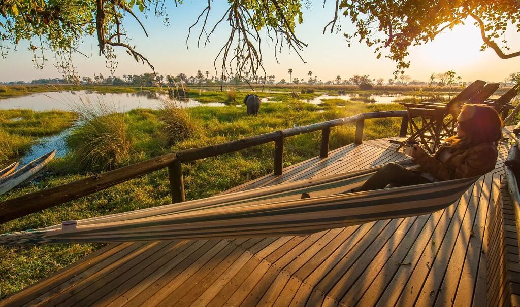 💚 #okavangodelta