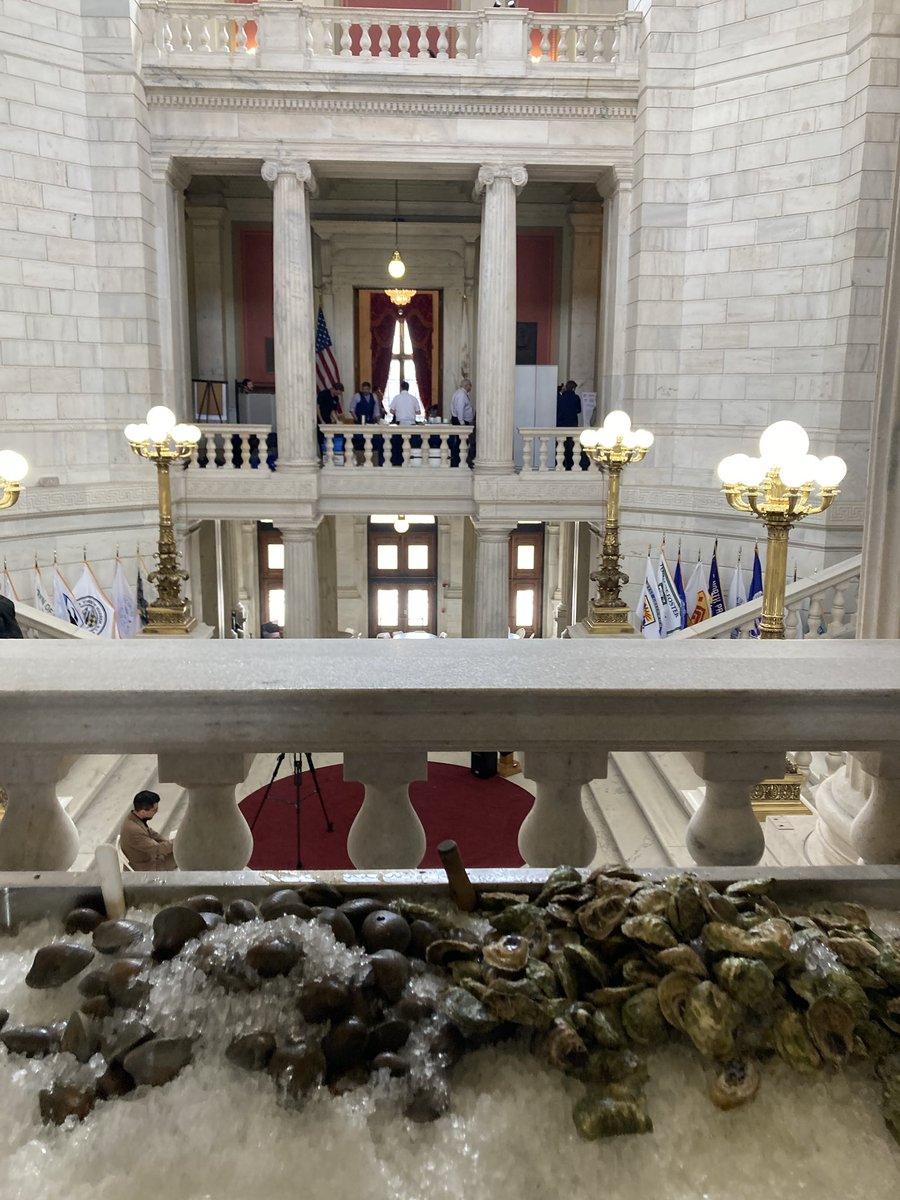 Free clam day at the State House