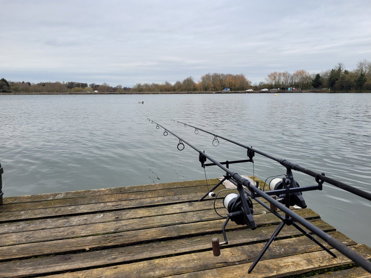 friendlycarper's tweet photo. Lets see if I get lucky https://t.co/Tj6h2Y7CiT