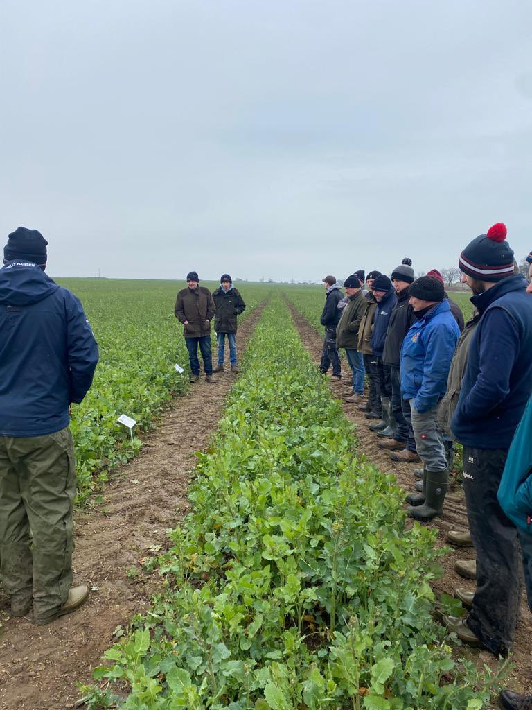 Hutchinsons Northern Team tweet media