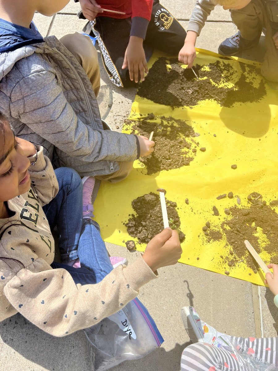 FahrneysFriends's tweet photo. Exploring soil. Lots of screams when they found 2 worms. @McSpeddenES https://t.co/JJZ8NJl0Bh