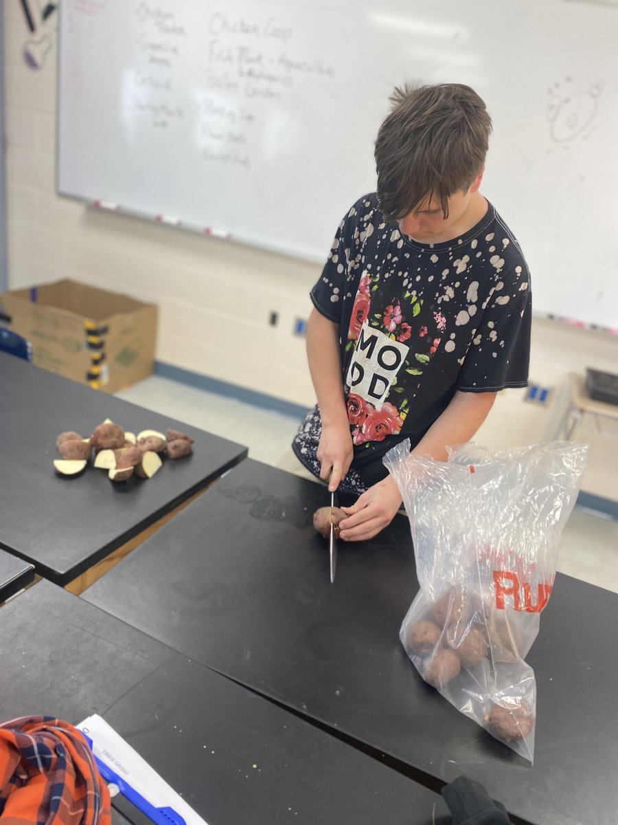 MrTomGoRaiders's tweet photo. Potato and pea planting in Ag today! Great conversation about science concepts and how plants propagate! #growinglocal #flcs #buildingtheculture @mrsgause_flcs #StemStrong23 https://t.co/apUqU9uOh4