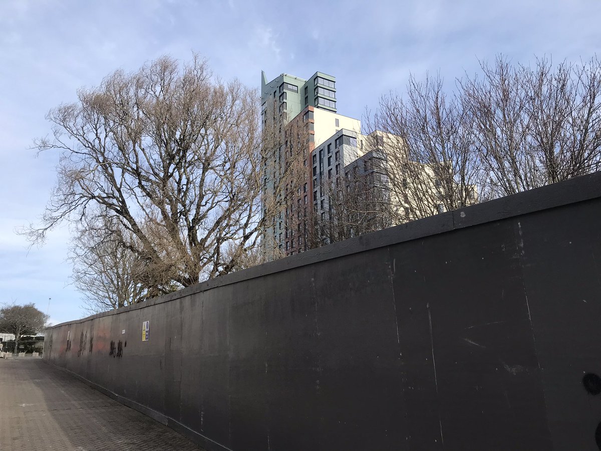 Protecting trees: a few musings in response to recent events in Plymouth (pictured before tree felling) 🧵