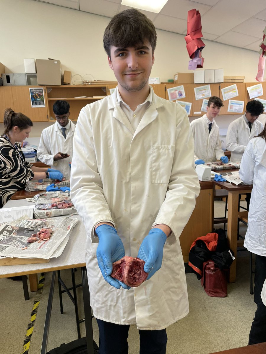 StPeters_Sci's tweet photo. Year 12 A-Level Biologists really pulling on those heart strings for their required practical dissection β€οΈπ« #stpeters #aqa #biology #science #heart #requiredpractical #alevel https://t.co/VqgbFpgldN