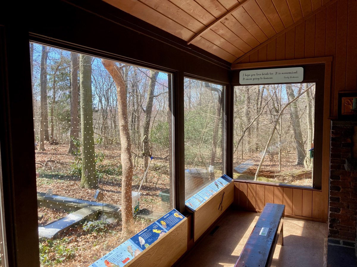 FeatherFriendly's tweet photo. A Great install of our new Pro DIY product by our friends at Bird Safe Philly. 

#featherfriendly #education #conservation #provensolution #birdconservation  #windowcollisions #wildlifeconservation https://t.co/MEZhcy98nh