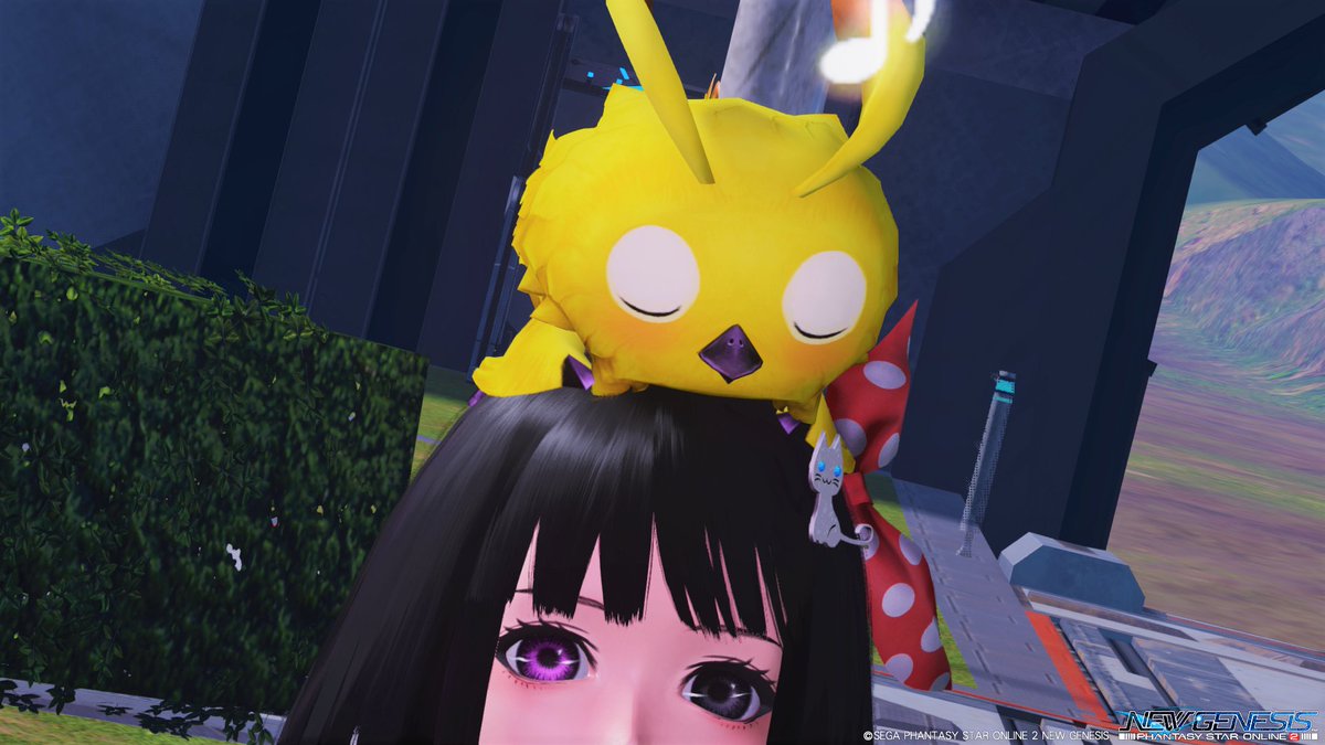 DekoChaki's tweet photo. ご無沙汰なでこあっぷり‼ からの~本体あたま‼
#NGSPSO2 #PSO2NGS_SS #NGSMDP #メンテの日なのでssを貼る https://t.co/c8RsVTo12W