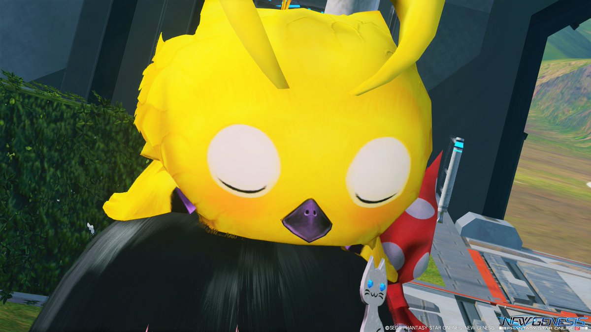 DekoChaki's tweet photo. ご無沙汰なでこあっぷり‼ からの~本体あたま‼
#NGSPSO2 #PSO2NGS_SS #NGSMDP #メンテの日なのでssを貼る https://t.co/c8RsVTo12W