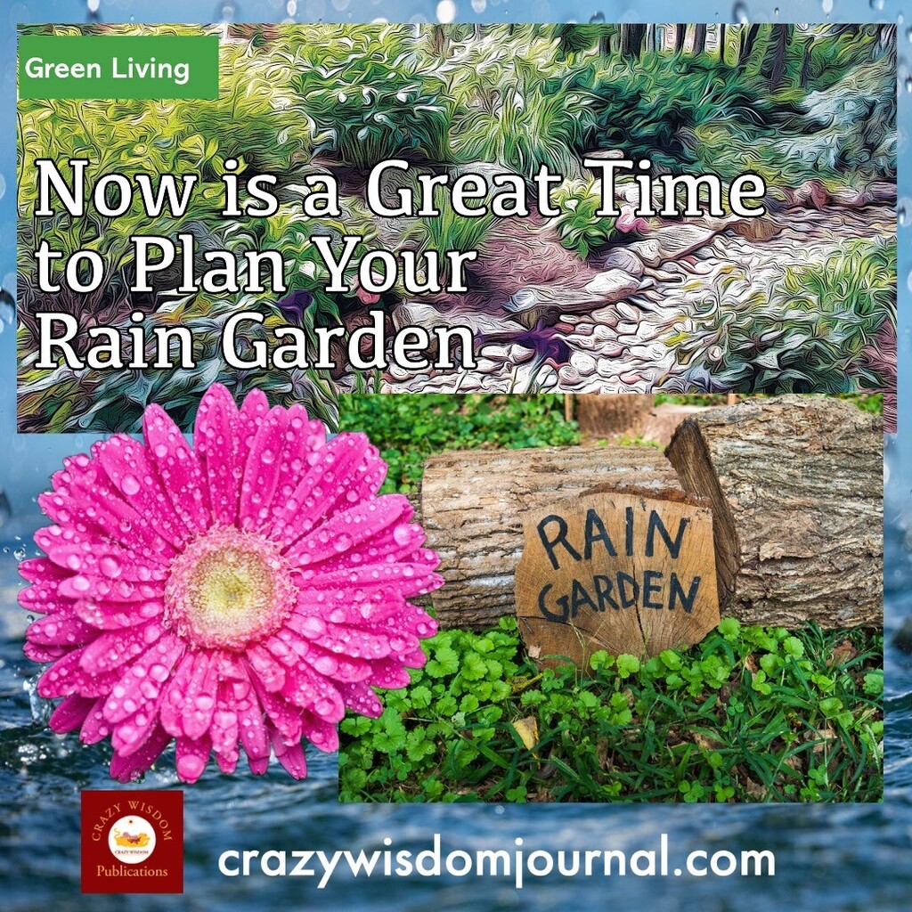 crazywisdomA2's tweet photo. Rain Gardens
Spring is just around the corner. Now is a great time to think about planting a rain garden. Plan yours with tips from Serena Dobson from Leslie Science and Nature Center.
Read the article here https://t.co/snPIoVwEkS
#cwjournal #digitalmag… https://t.co/fVAOUCGCqs https://t.co/Khm34gdsoL