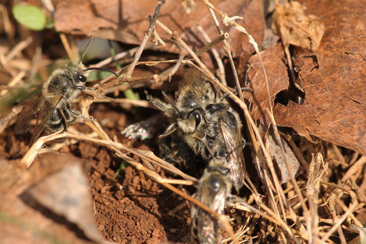 lrusso08's tweet image. I know I have thousands of Colletes photos but you can never have too many, right? Right?! #colleteslove