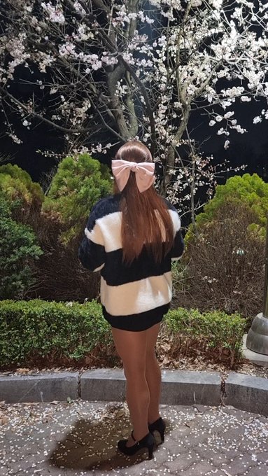 커다란 분홍 리본~  잘어울리나요? https://t.co/AfawCBCjbp
