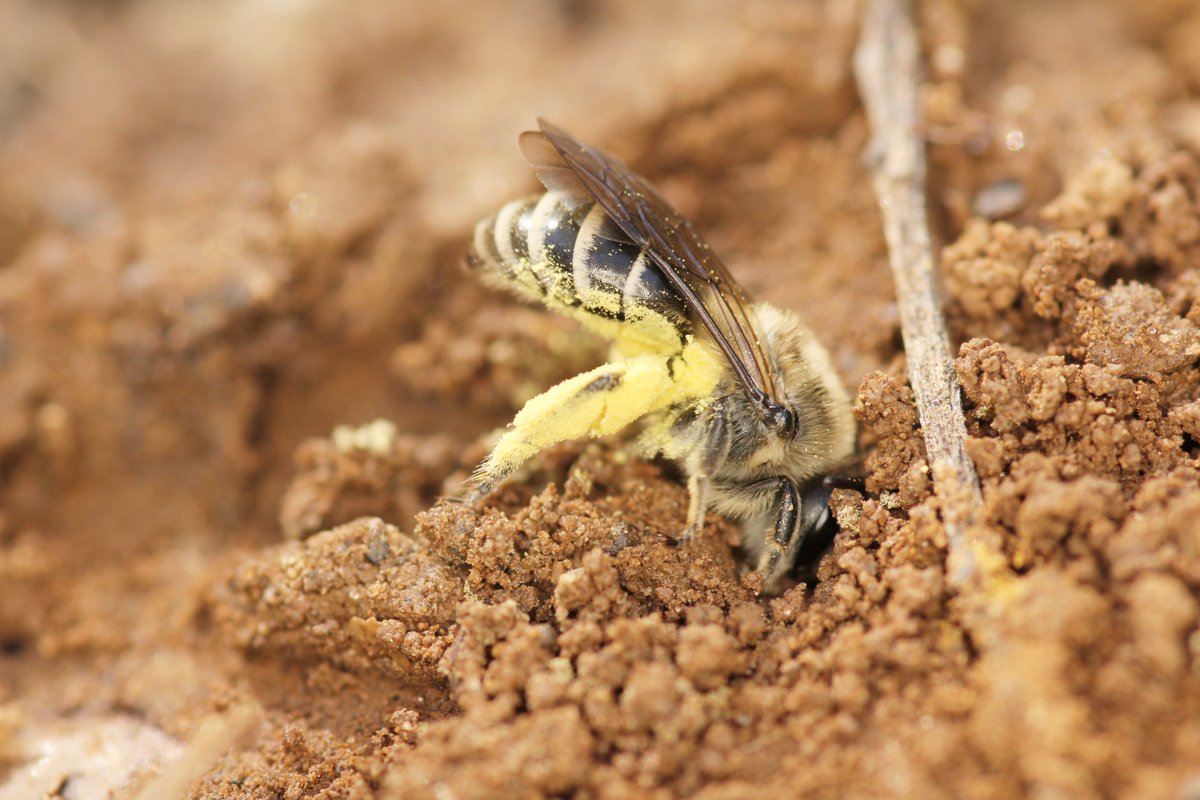 lrusso08's tweet image. I know I have thousands of Colletes photos but you can never have too many, right? Right?! #colleteslove