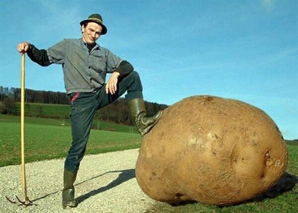 RLauret10's tweet photo. Quentin : « j’en ai gros sur la patate ». 
La patate en question … 
#KohLanta #KohLantaLeFeuSacre https://t.co/Q9nmM1P16Y