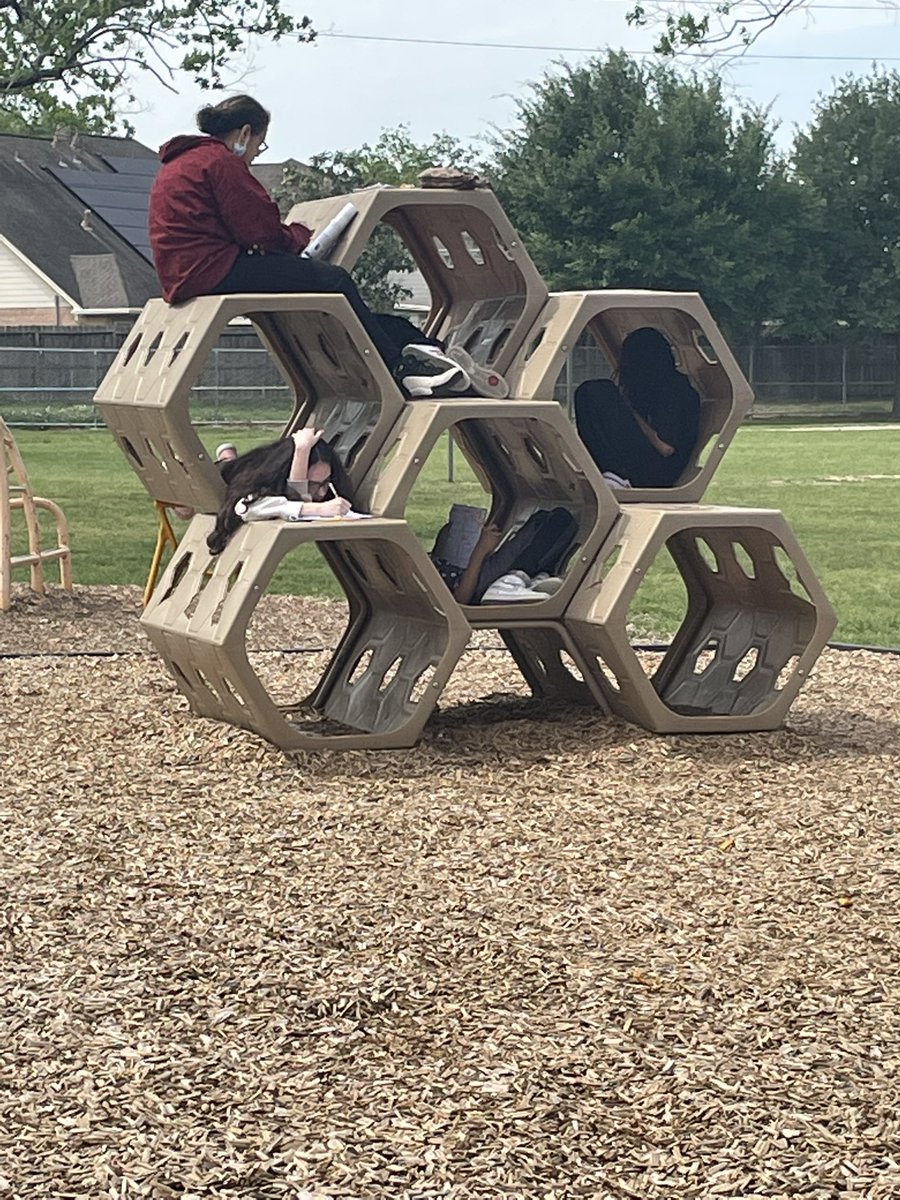 McBride's Classroom tweet media