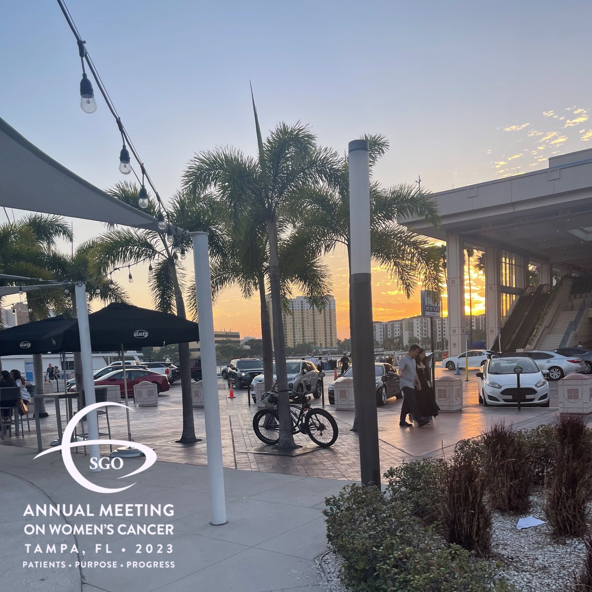 SGO on Twitter "As the sun sets on the SGO 2023 Annual Meeting, we