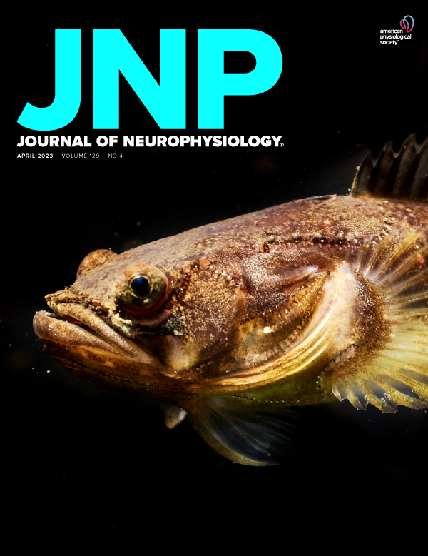 Our recent article, Reproductive state modulates utricular auditory sensitivity in a vocal fish, is the new cover for @JNeurophysiol