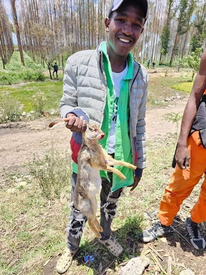 He operates power saw services in Karatina.

It is alleged that they were brought from Nyeri in a police lorry belonging to Kiganjo Police College.

You now know why the police could not respond to stop them.
