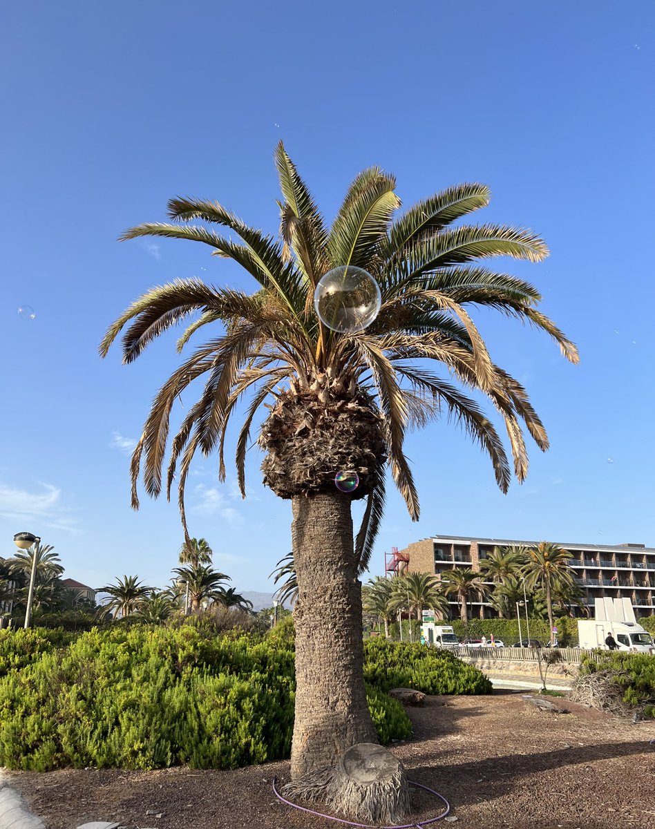 Holiday dump… No filters look at the beauty😍