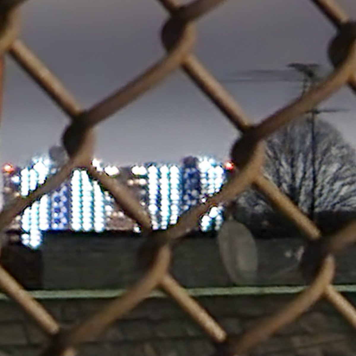 brandontempo's tweet image. not as easy as it sounds, turns out. #compersion