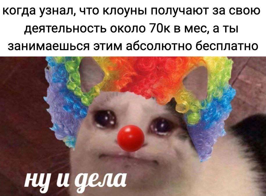 Gribanov ☢ ᓚᘏᗢ (@gribanov) on Twitter photo 