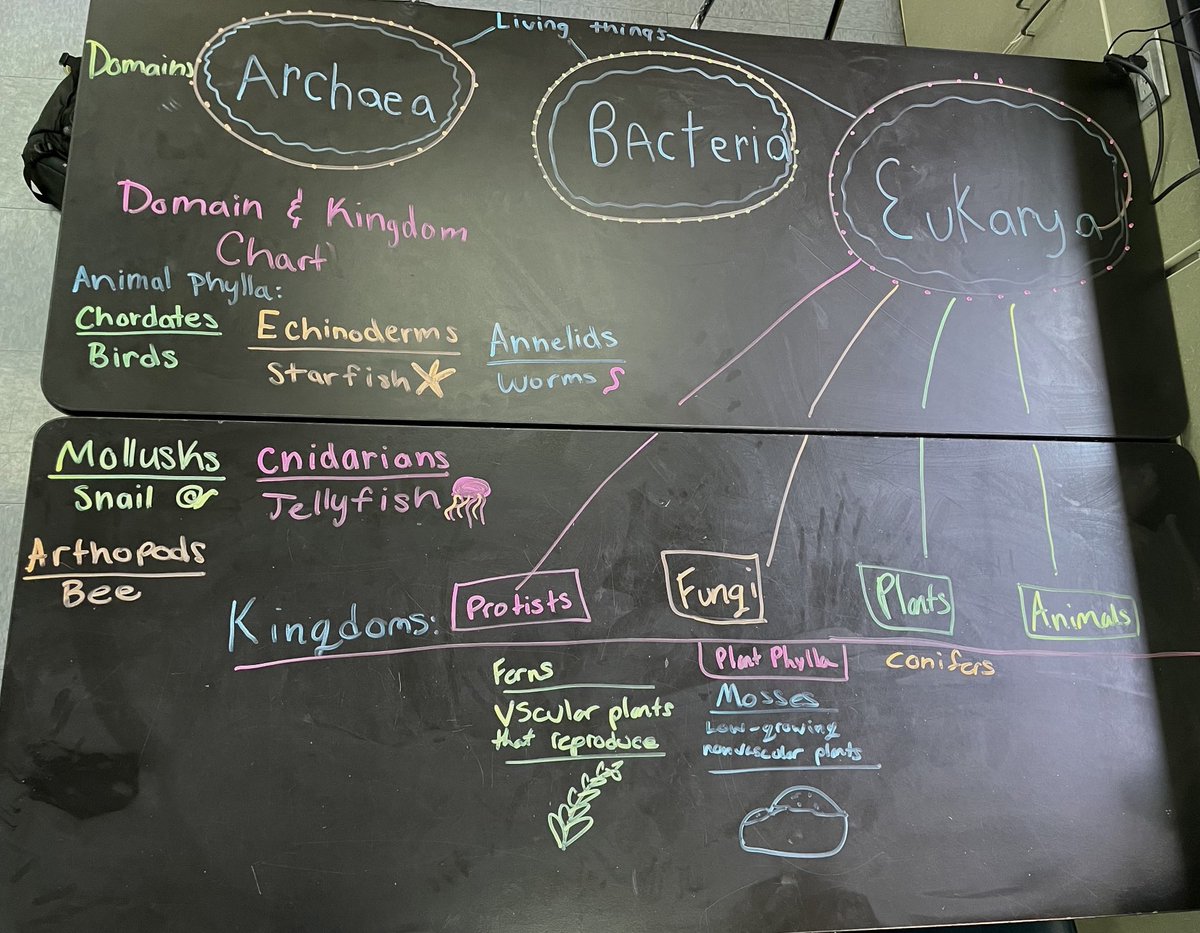 LifeSciHax's tweet photo. #expo neon markers on the science tables are so fun #amswildcats #fcps1science https://t.co/rIcYHnL6Fq