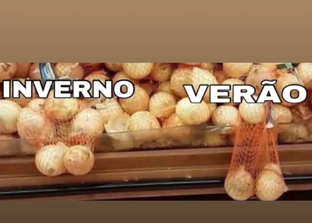 arthuroursso's tweet photo. Verdade ou meme !? 😅🐻 https://t.co/ujelPdnZdr