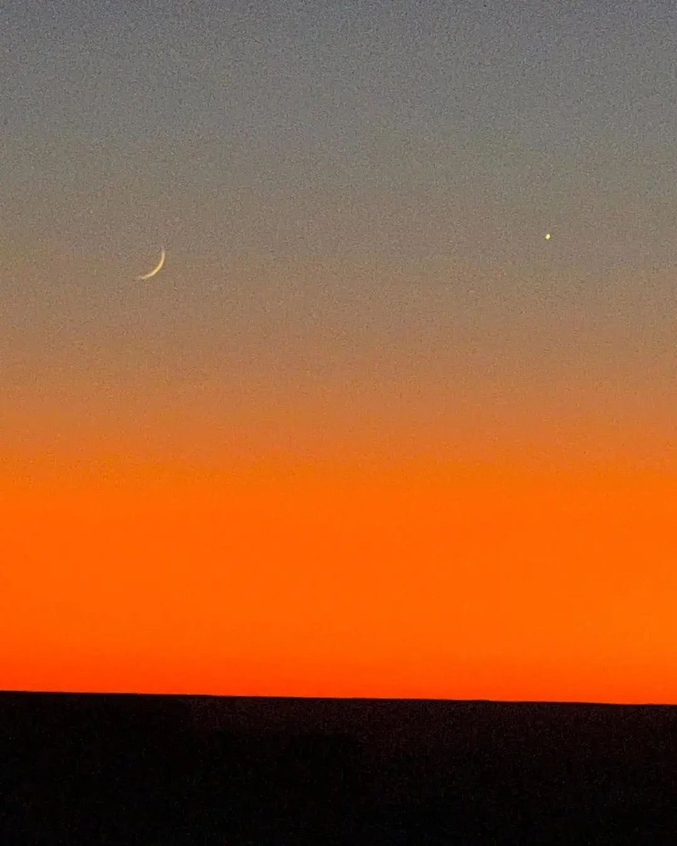 Algerian desert