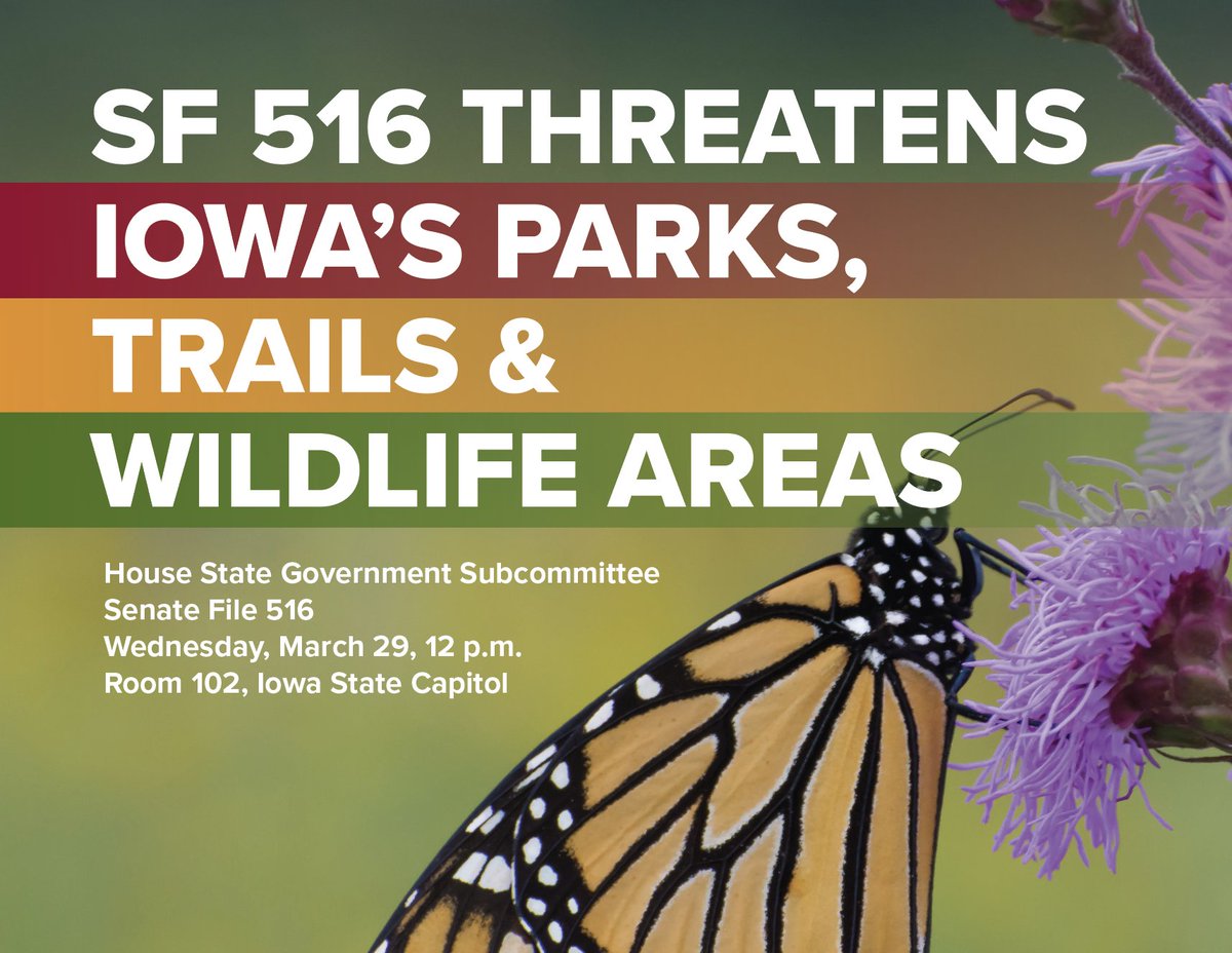 Advocacy Alert: 
Urge your reps to oppose SF 516 
Find out why: inhf.org/blog/blog/futu…
Subcommittee meeting scheduled for 3/29 at 12 p.m.
