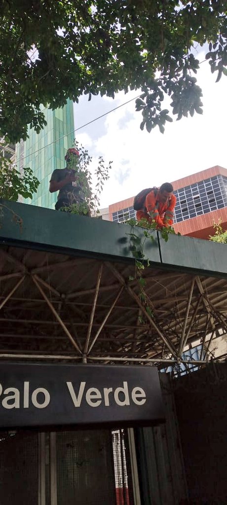 El plan Metro Se Mueve Contigo continúa fortaleciendo el <a href="/metro_caracas/">Compañía Anónima Metro de Caracas</a> con la ejecución de limpieza profunda, restauración de exteriores y mantenimiento general de la estación Petare II del MetroCable Mariche.

#DuroContraLaCorrupción 

<a href="/NicolasMaduro/">Nicolás Maduro</a> 
<a href="/delcyrodriguezv/">Delcy Rodríguez</a>
