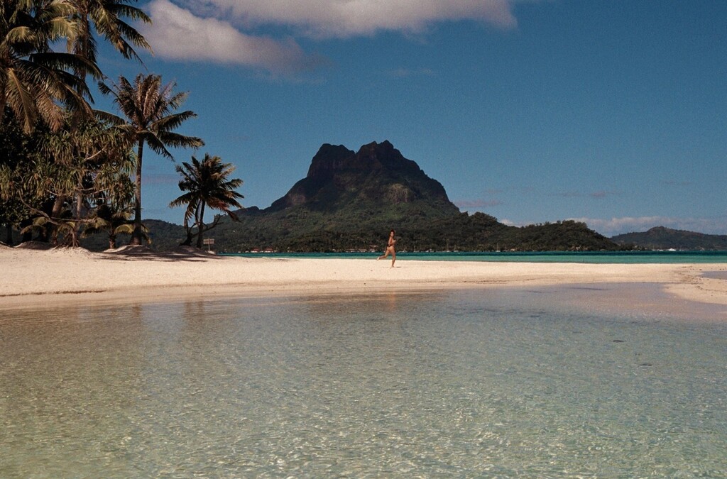 POV: You and your bestie are on a tropical adventure! ✈️ 🏄‍♀️ ☀️⁠
⁠
Who are you traveling with? 👀⁠
⁠
Tag them below 🫶🏼⁠
⁠
#minimaleanimale #travelpartner #traveladdict #travellove #tropicaladventure